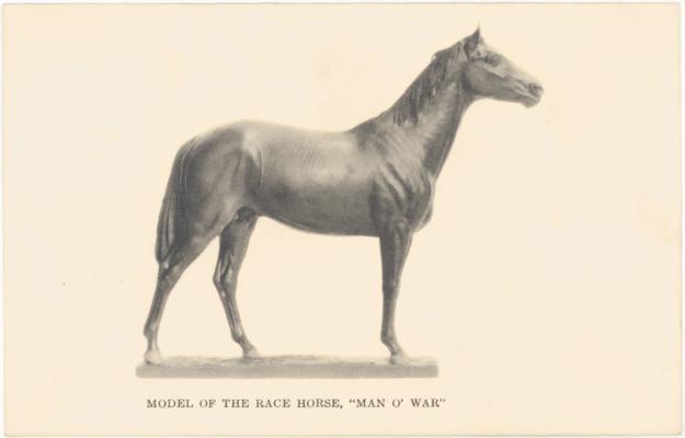 Model of the Race Horse, 'Man o' War'. (Printed verso reads: 