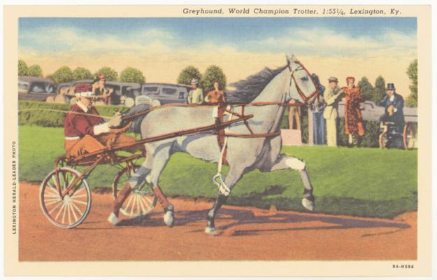Greyhound, World Champion Trotter, 1:55 1/4, Lexington, KY. (No Postmark) [Horses]