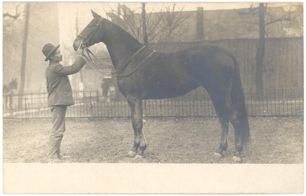 [Photograph of an African-American man holding a race horse. Handwritten note on verso indicates the location to be Short Street in Lexington, Kentucky, and that the card is from the Margaret P. Johnston Papers, 1960.]