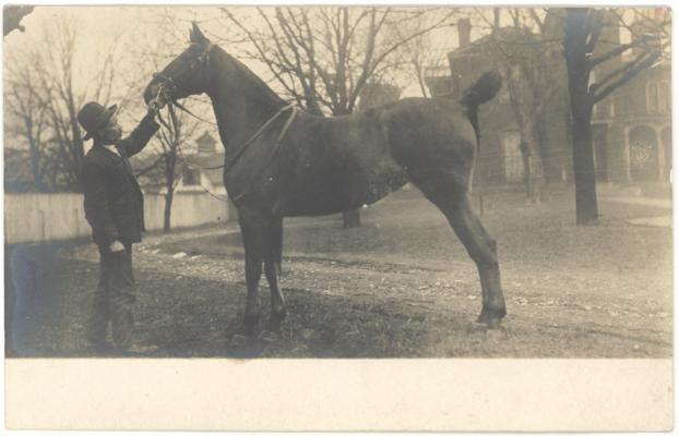 [Photograph of an African-American man holding a race horse. Handwritten note on verso indicates that the card is from the Margaret P. Johnston Papers, 1960.]