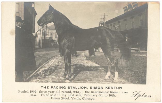 The Pacing Stallion, Simon Kenton. Foaled 1902; three-year-lod record, 2:13 1/4; the handsomest horse I ever saw. To be sold in my next sale, February 5th to 10th, Union Stock Yards, Chicago. (Handwritten note on verso indicates the location may be Water Street in Lexington, Kentucky, and that the card is from the Margaret P. Johnston Papers, 1960.)
