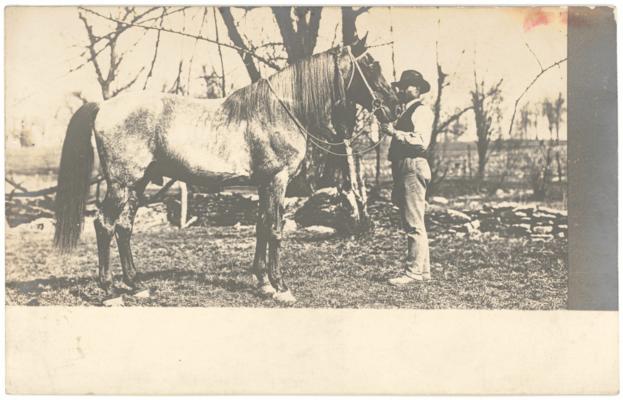 [Image of an African-American man holding onto an unidentified horse.] (Handwritten note on back indicates that location is probably a Kentucky farm and that the card is from the Margaret P. Johnston papers, 1960.)