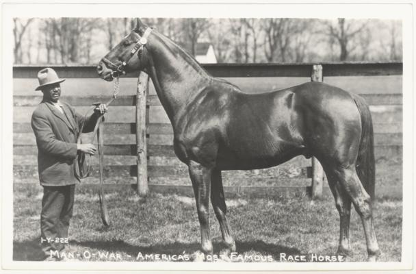 Man-O-War, America's Most Famous Race Horse