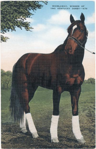 Whirlaway, Winner of 1941 Kentucky Derby - K76.