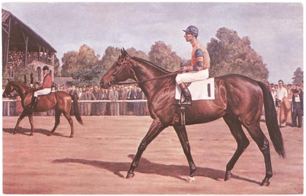 [Color image of the thoroughbred 