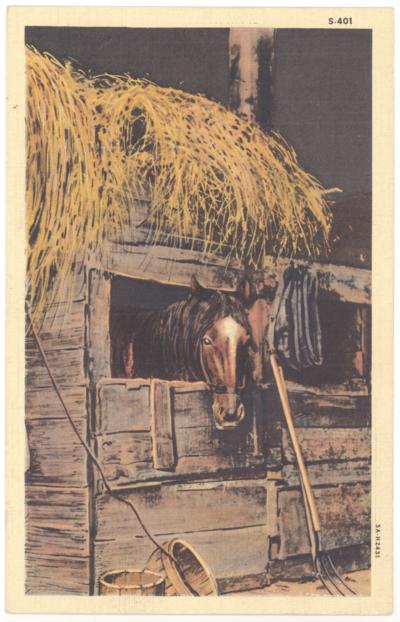 [Painting of a horse in a barn stall] (Handwritten Note On Verso - From Tompkinsville, Kentucky)