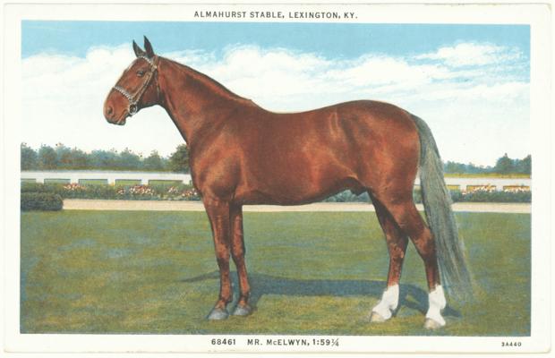 Almahurst Stable, Lexington, KY. 68461 - Mr. McElwyn, 1:59 1/4. (Printed verso reads: 