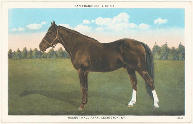 San Francisco, 2:07 3-4, Walnut Hall Farm, Lexington, KY. [Horses]