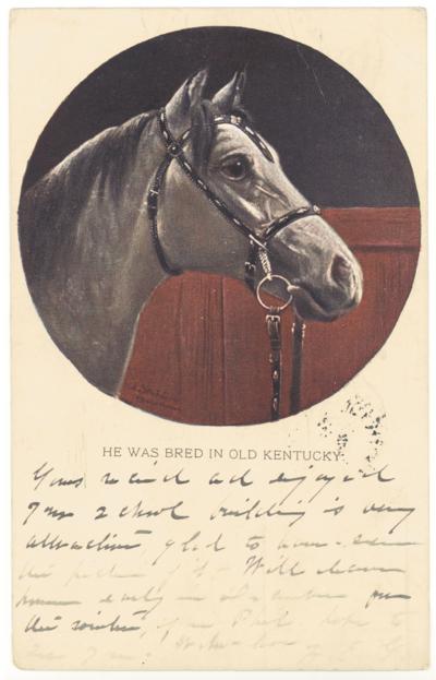 He Was Bred In Old Kentucky. [Horses]