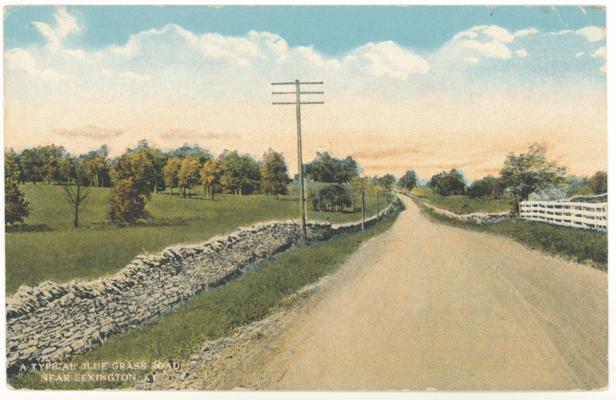 A Typical Blue Grass Road Near Lexington