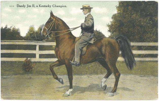 Dandy Jim II, a Kentucky Champion. [Horses]