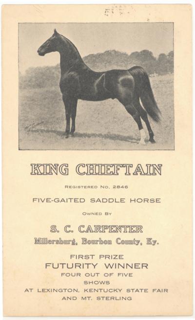 King Chieftain. Registered No. 2846. Five-Gaited Saddle Horse, Owned By S.C. Carpenter, Millersburg, Bourbon County, Ky. First Prize Futurity Winner, Four Out Of Five Shows At Lexington, Kentucky State Fair And Mt. Sterling