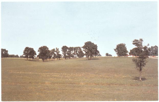 [Pastoral horse farm scene in Kentucky] (Printed verso reads: 