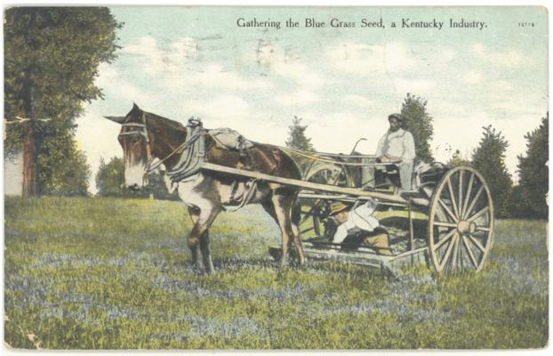 Gathering the Blue Grass Seed, Kentucky Industry