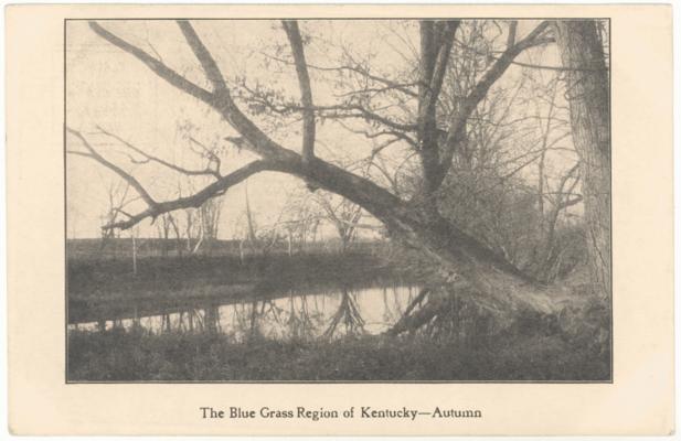 The Blue Grass Region of Kentucky - Autumn