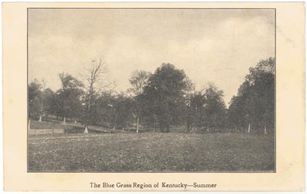 The Blue Grass Region of Kentucky - Summer