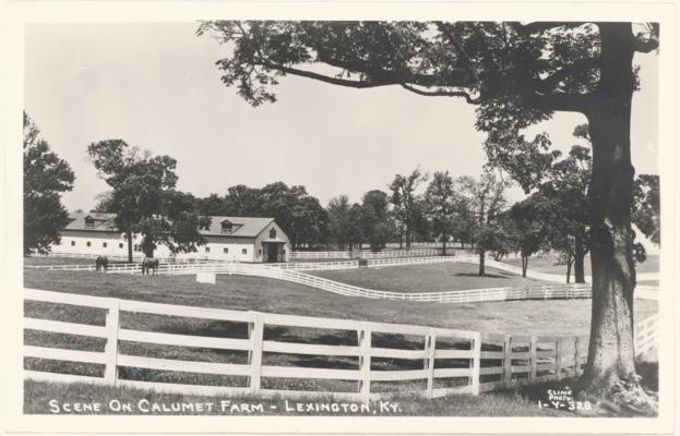 Scene on Calumet Farm - Lexington, KY