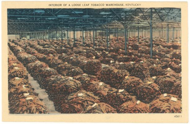 Interior of a Loose Leaf Tobacco Warehouse, Kentucky