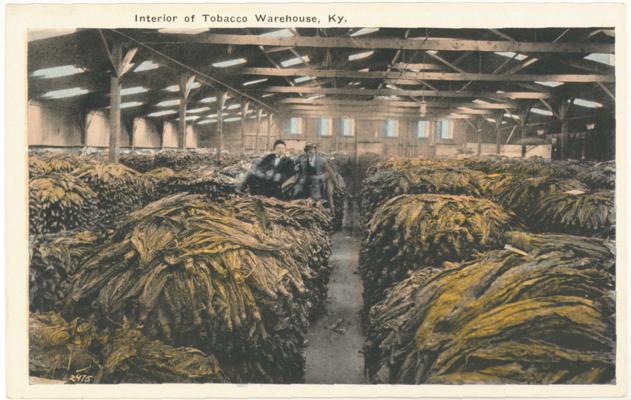 Interior of Tobacco Warehouse, Ky