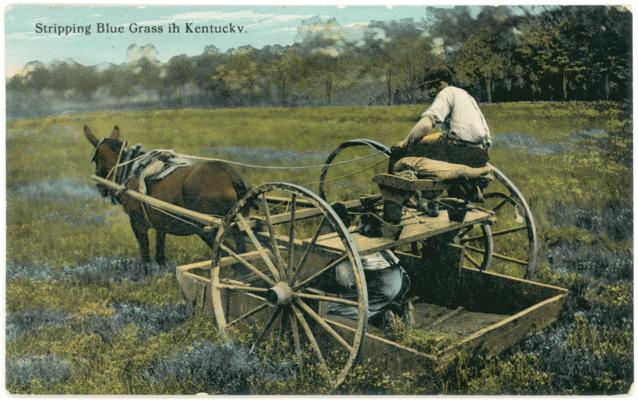 Stripping Blue Grass in Kentucky