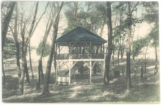 Field Spring, Crab Orchard, Ky. (Postmarked 1909)