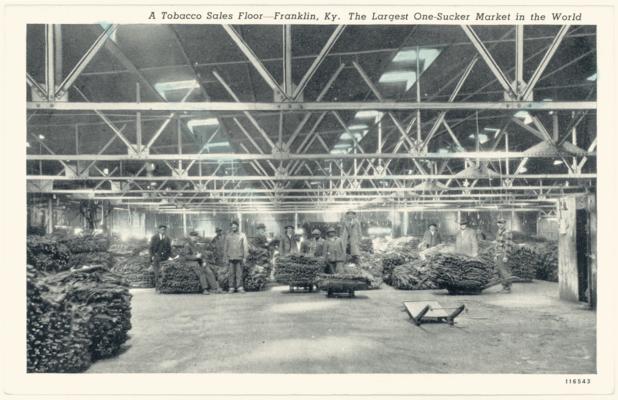 A Tobacco Sales Floor. The Largest One-Sucker Market in the World