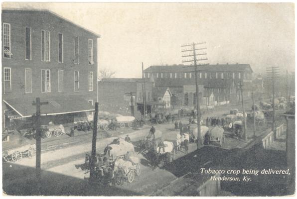 Tobacco crop being delivered