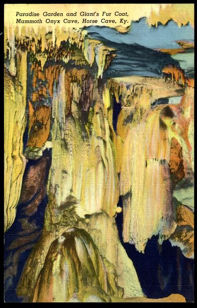 Paradise Garden and Giant's Fur Coat, Mammoth Onyx Cave. (Printed verso reads: 
