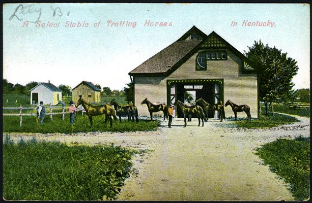 A Select Stable of Trotting Horses in Kentucky