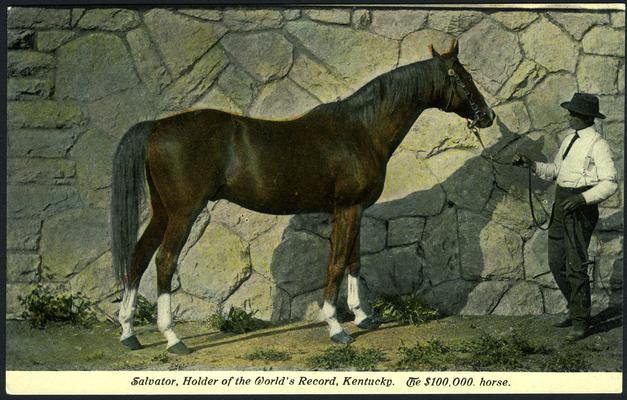 Salvator, Holder of the World's Record, Kentucky. The $100,000 horse