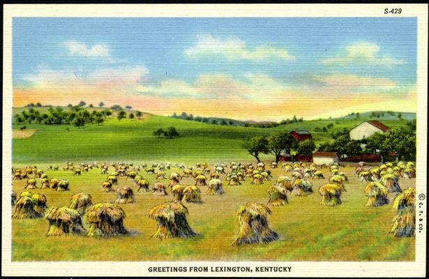 Greetings From Lexington KY. [Generic Farm Field.]