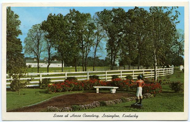 Scene at Horse Cemetery. (Printed verso reads: 