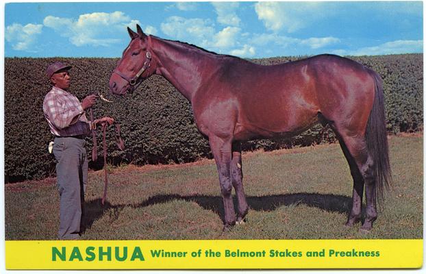 NASHUA, Winner of the Belmont Stakes and Preakness. (Printed verso reads: 
