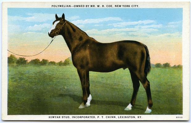 Polymelian - Owned By Mr. W.R. Coe, New York City. Himyar Stud, Incorporated, P.T. Chinn, Lexington, KY. 2 copies