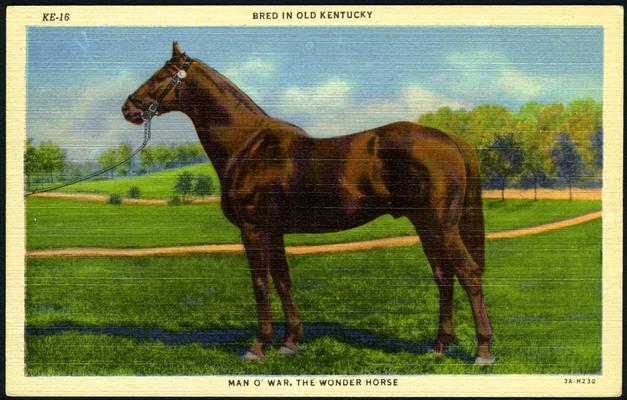 Bred In Old Kentucky. Man-O-War, The Wonder Horse. (Printed verso reads: 