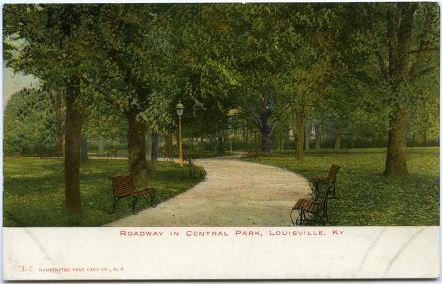 Roadway In Central Park