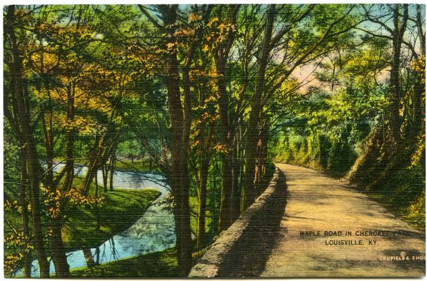 Maple Road In Cherokee Park