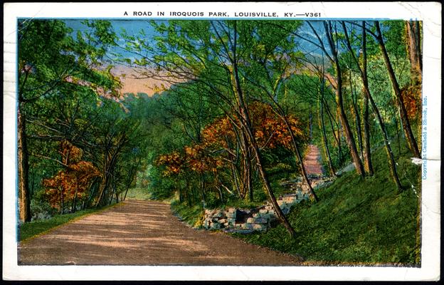 A Road In Iroquois Park