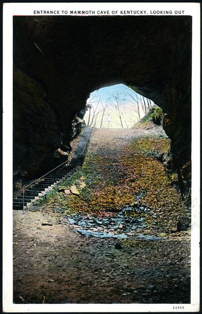 Entrance To Mammoth Cave Of Kentucky, Looking Out