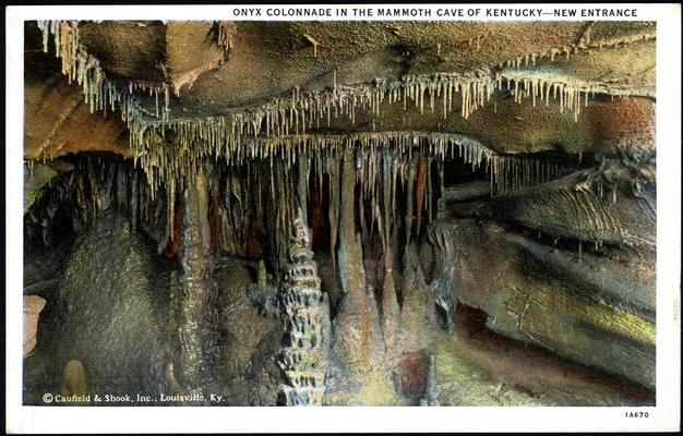 Onyx Colonnade In The Mammoth Cave Of Kentucky - New Entrance. (Printed verso reads: 