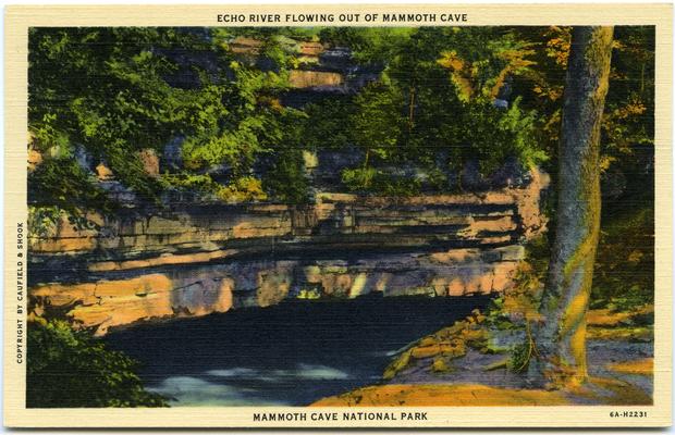 Echo River Flowing Out Of Mammoth Cave