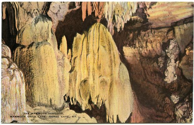 The Mammoth Aerotite, Mammoth Onyx Cave, Horse Cave, KY. (Printed verso reads: 