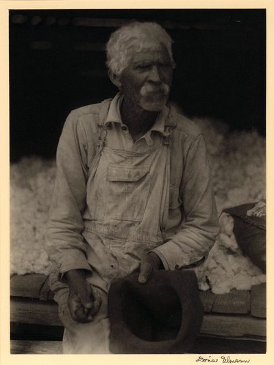 Elderly, bearded man with mustache, in overalls, seated, holding hat, with cotton piled behind him