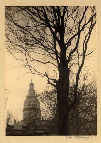Tree against sky, with dome and cupola of building in background