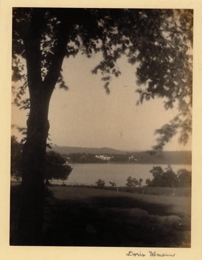 Long Island Sound.  Tree against sky, rock wall, and field with body of water in background.  [on back] 