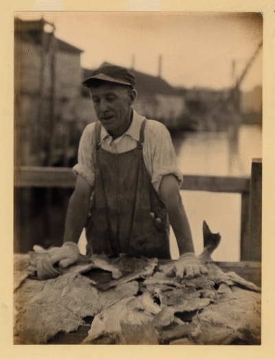 Man in hat, apron, rolled-up sleeves, and gloves standing over table, cleaning fish