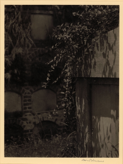 Cemetery scene with vine growing on top of mausoleum, and wall of crypts in background