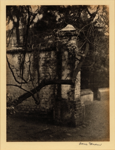 Brick wall and gate, with tree branch in foreground; [on back] 