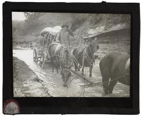 Unidentified group on a wagon being pulled hrough a creek