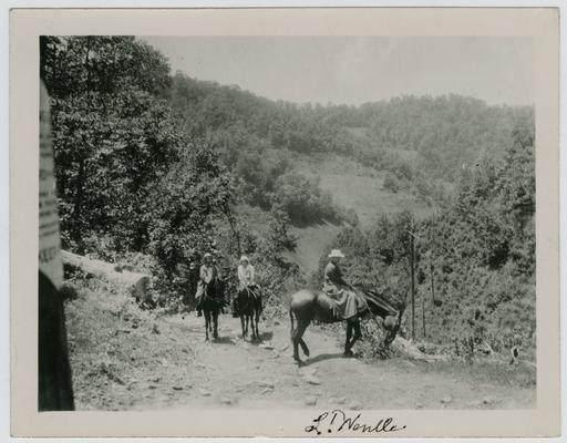 Group, unknown, working for Mountain Fund